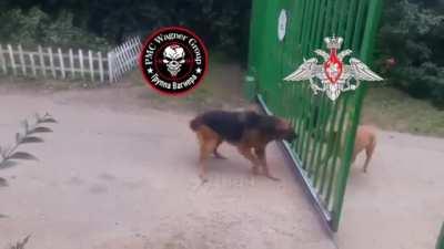 The last 24 hours in a nutshell