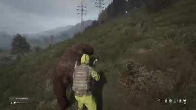 Sledgehammer vs bear