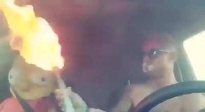 When lighting farts is no longer enough