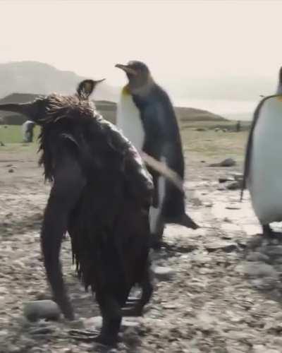 Видимо что-то случилось...