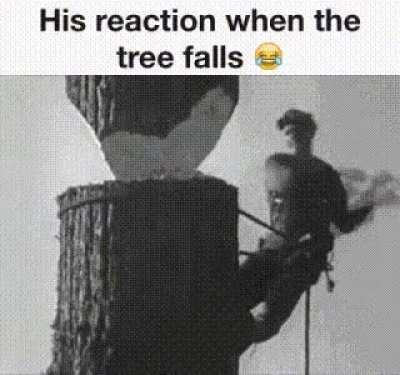 Just gonna leave it here