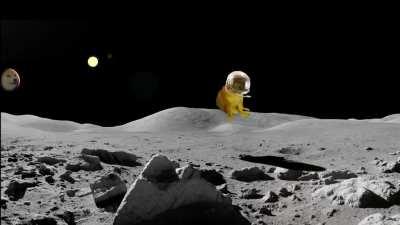 Cheems goes on a quest