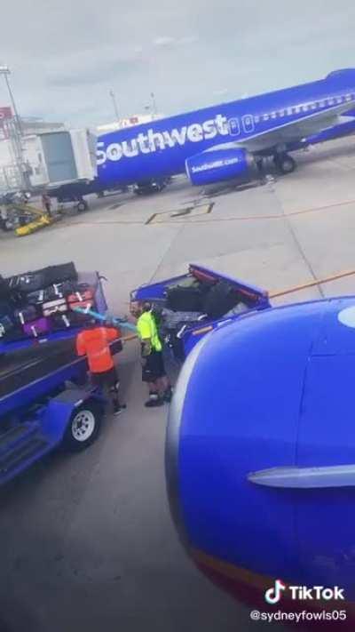 Pool noodle makes it from Ohio to Florida