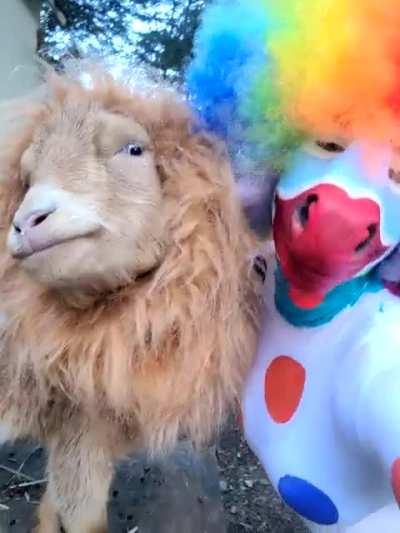 Trying to convince Lenny he loves being the Alex to my Marty