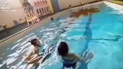 Weard fedishes page be like