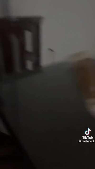 I did not like that #scaryeddie