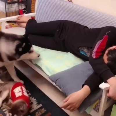 Little one, it’s daddy’s turn!