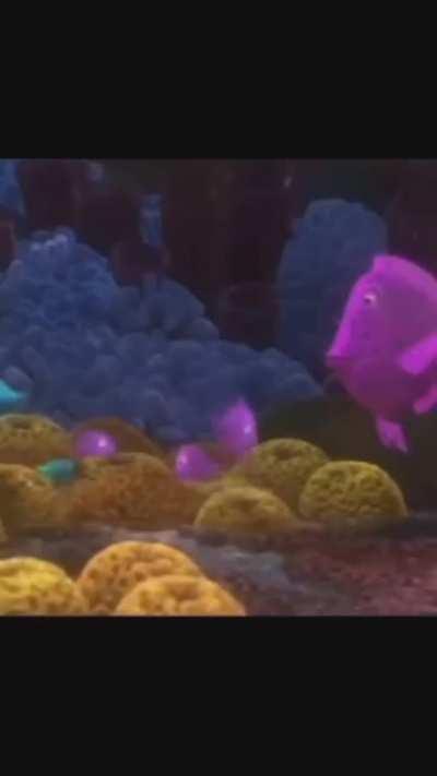 Safest place to play