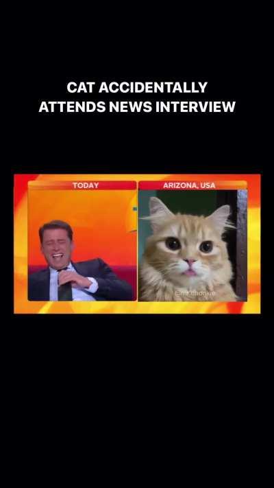 To be professional during an interview.