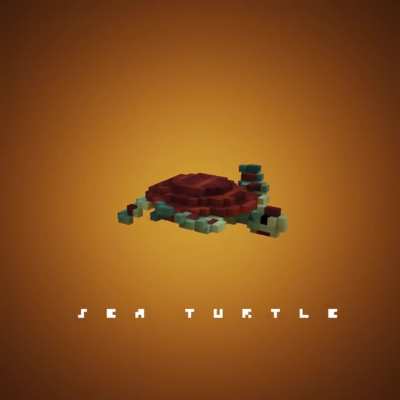 🐢〡Sea Turtle