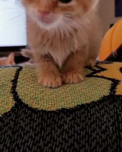 The alarm is sounded.