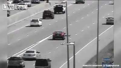 Duck family crosses a road