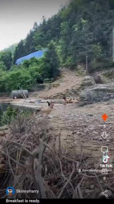 saw this in abrupt chaos, and knew what I had to do.