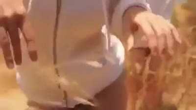 My mods in skyrim be like