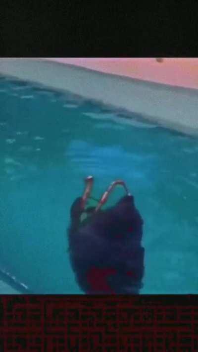 Il chem pe la nunta mea