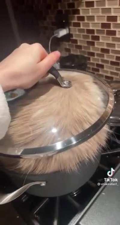 A cats-erole for dinner!