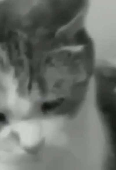 Oh no.... why did I laugh...