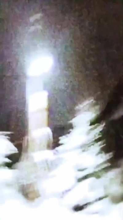 next day,I'm running in snowy road and I randomly spot an dog...