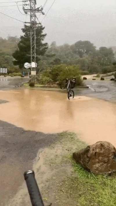 I thought he made it.