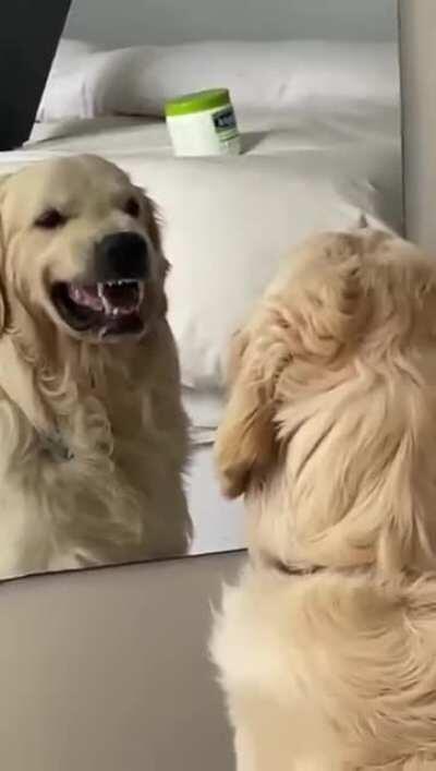 Gud boy practicing being a bad boy