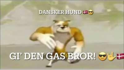 Danskerhund 🇩🇰