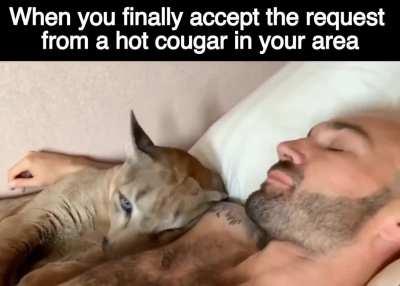 Just about made me puma pants