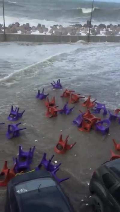 Normal day in Alexandria