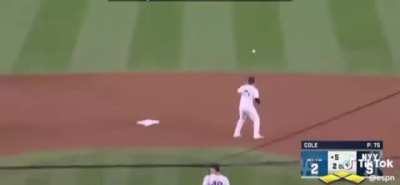 Yankees Lose, dubbed over 