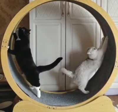 Physics Miscatculations