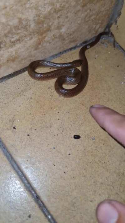 Banda quiero saber que es 