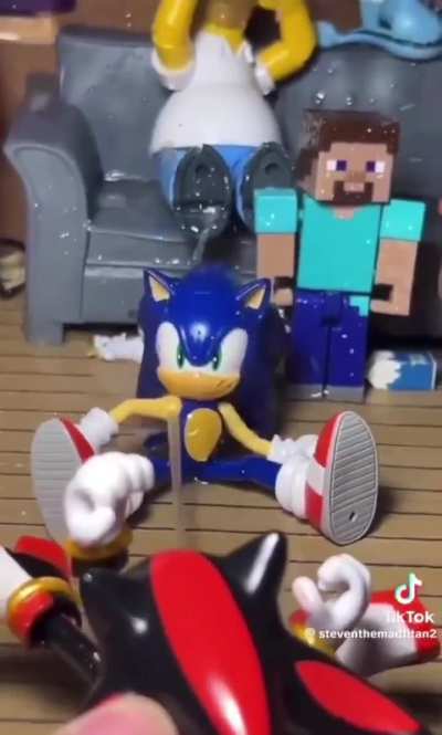 Sonic the squithog