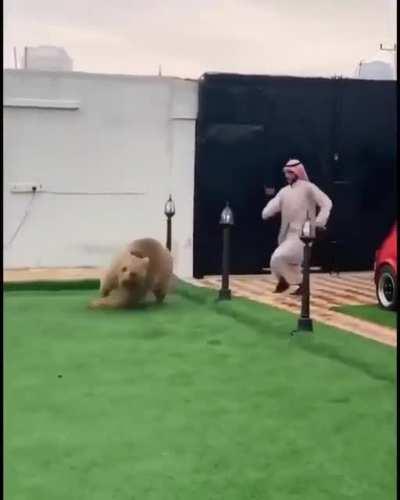 Everything about this feels surreal