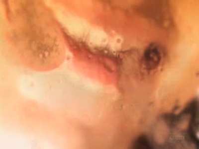 Kaylynn's liquid love language