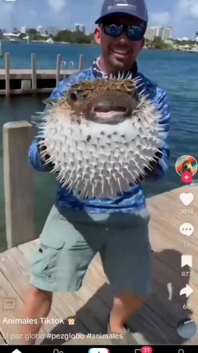 BeelcitosMemes - Video #2632