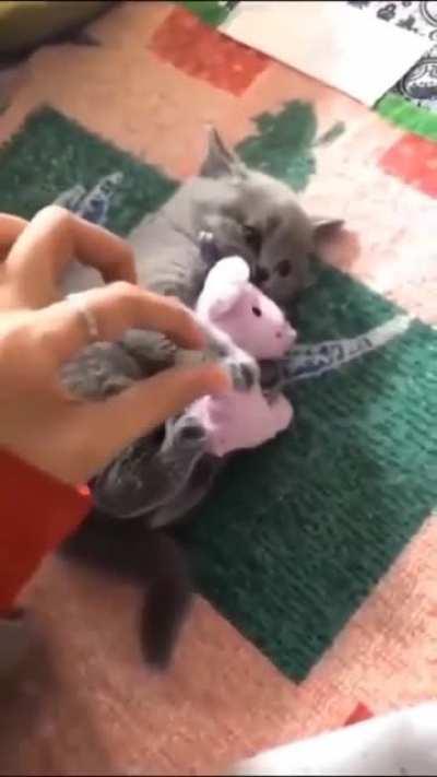 me holding onto my gme shares