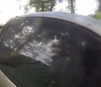 Bruh can you give me a ride ?