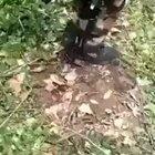 Jannat chahiye madarch*d tumko ? ( meanwhile the pakistani AcTiVisT is crying )