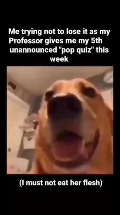 (her flesh tho 🤤)