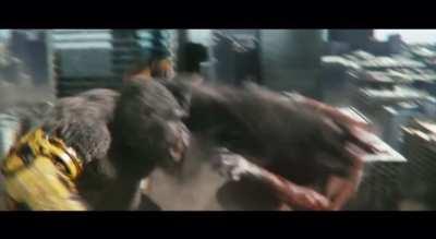 There is no way in hell he survived that