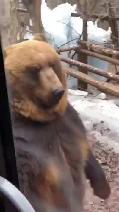 Winnie the Smooth Criminal