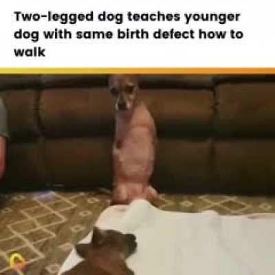 This is so wholesome 🥰