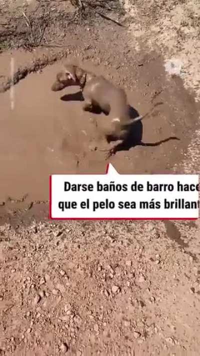 Has it ever happened to you?