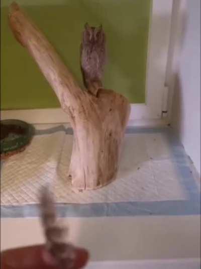 Isn't that your thing?