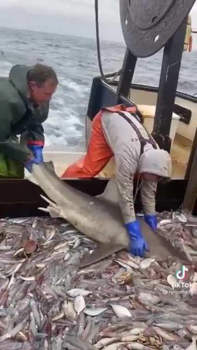 the waiter and the police tryna remove me at the all you can eat buffet 