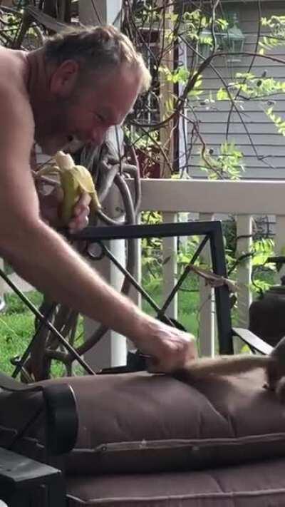 playtime with squirrel