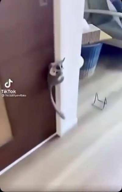 can someone id this?