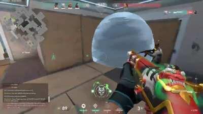 Bucky (But it's perfectly synced)