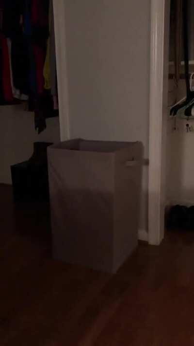 I feel like this is something you’d see in a cartoon