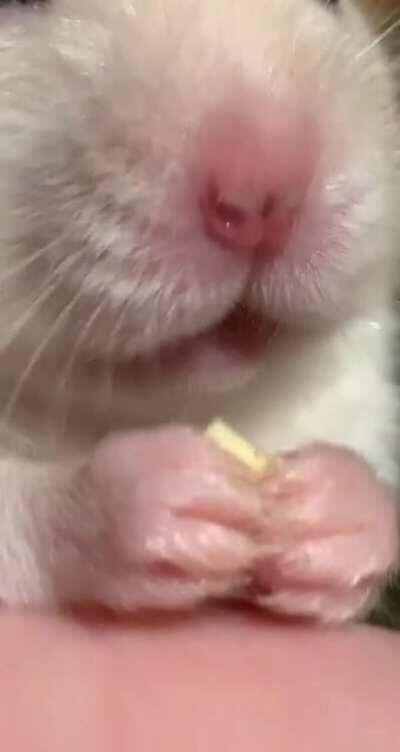 I hope this makes someone smile🥰