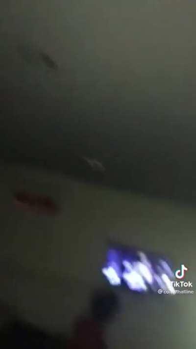 I’m 15 and this is yeet